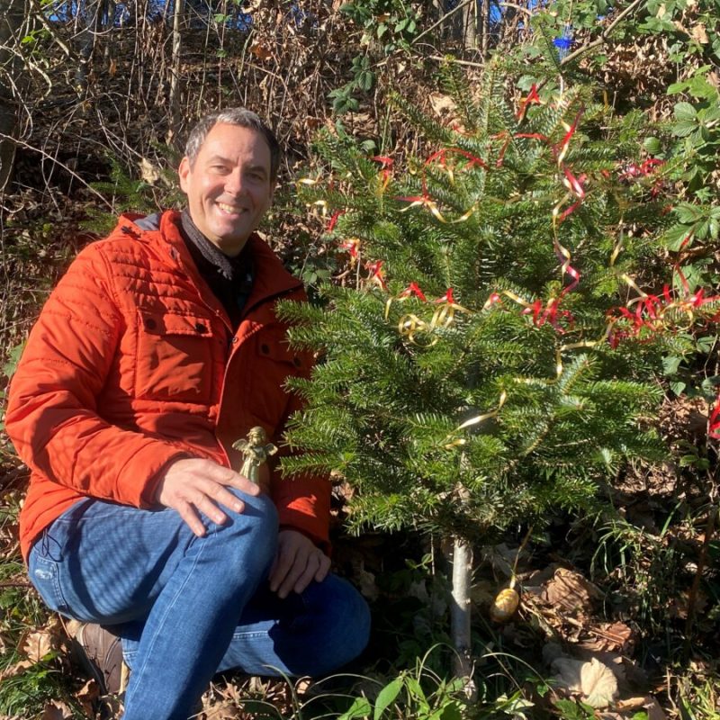 202512_Franz Knittelfelder Christbaum